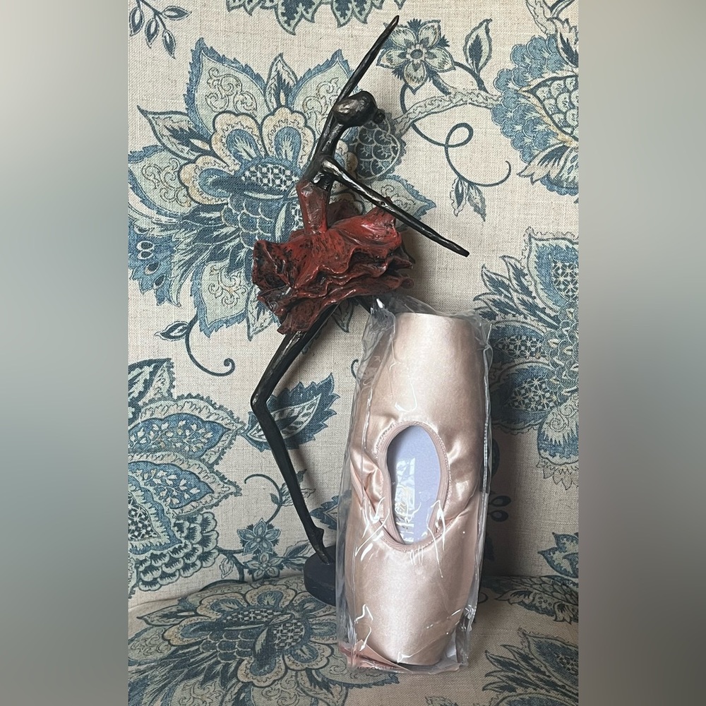 Nikolay Pointe Shoes 6.5